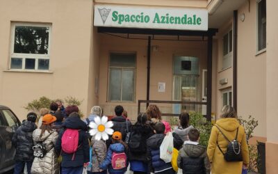 Centrale del latte, le scuole di nuovo nel caseificio