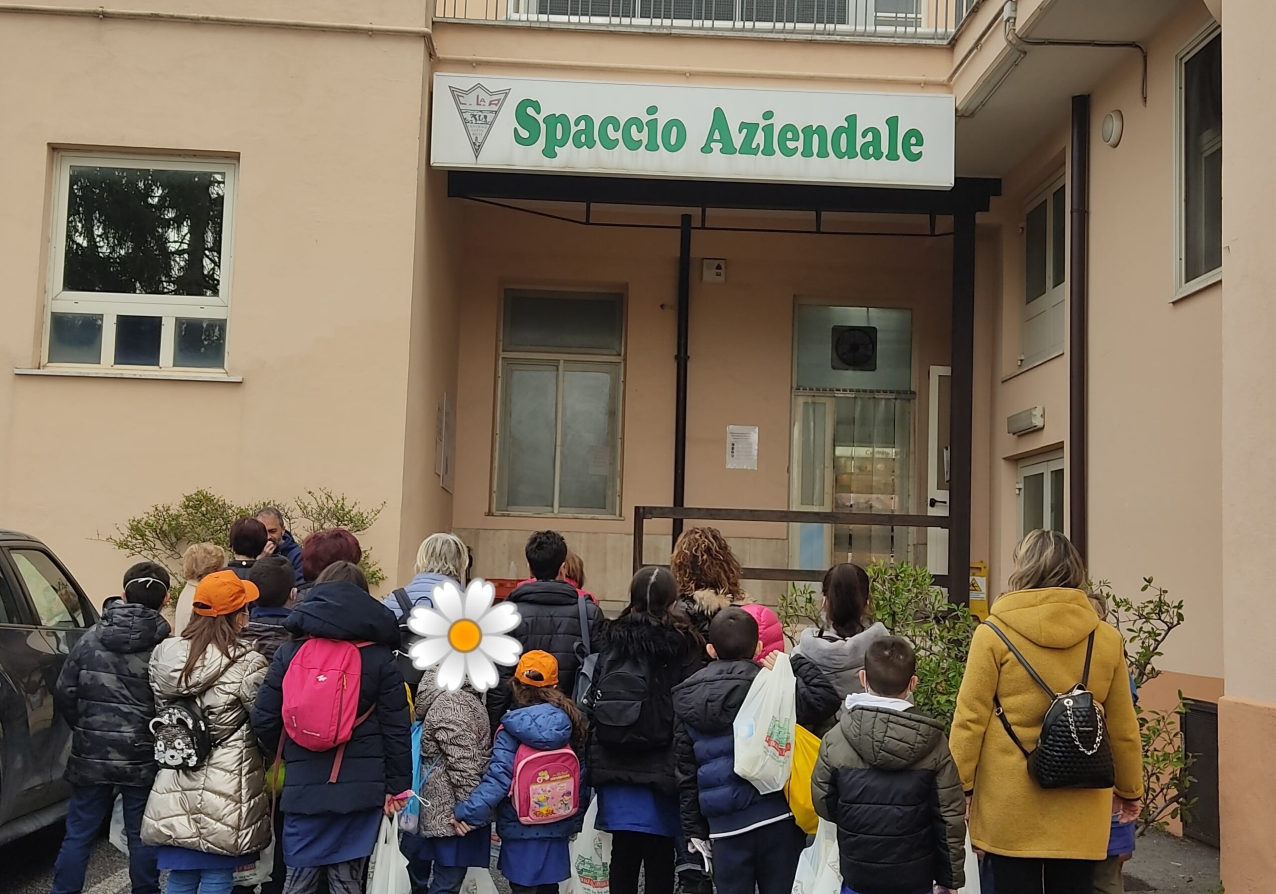 8 scuola rocca-min